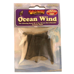 Ocean Wind Cones
