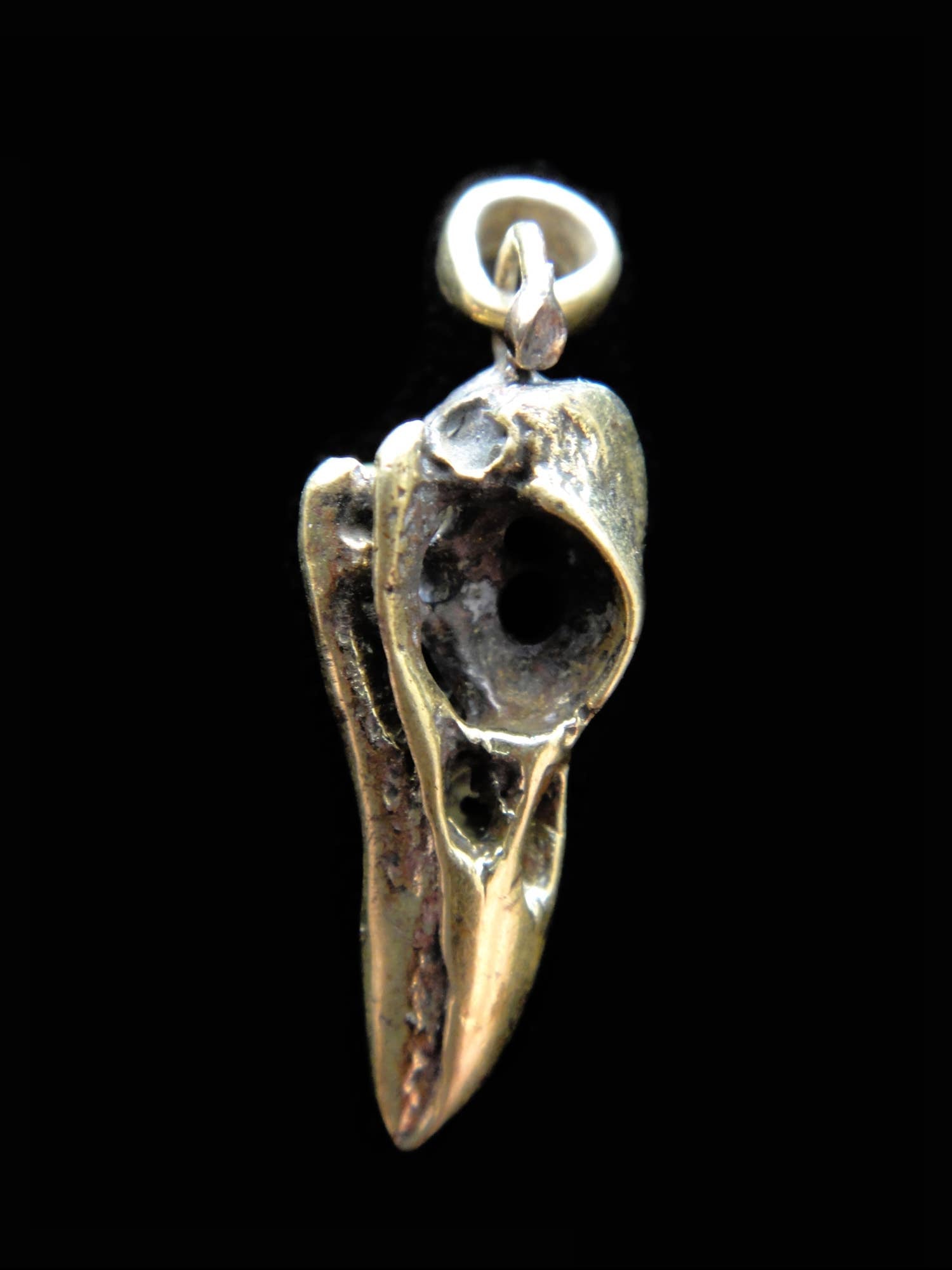 Raven Bird Skull Pendant- Medium