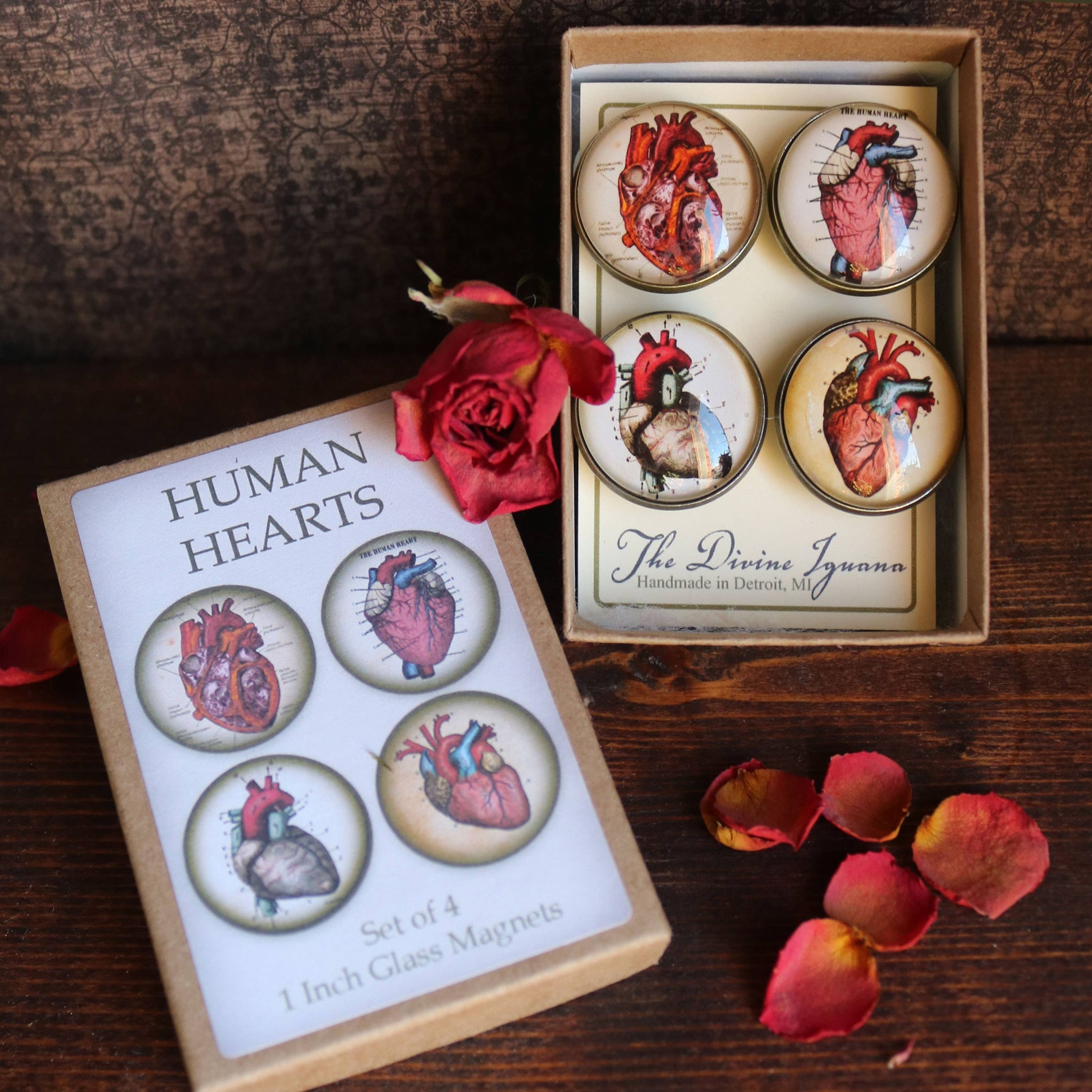 Human Hearts Goth / Valentine Glass Magnet Gift Set