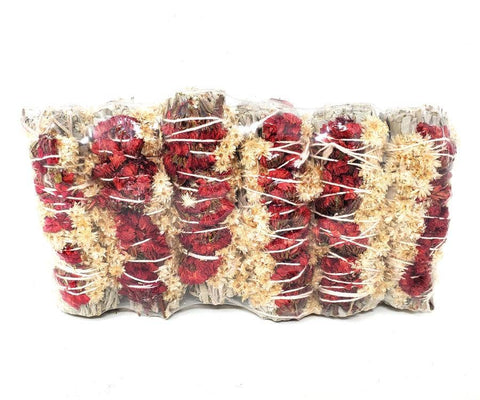 Panacium & Red Satice White Sage 4"