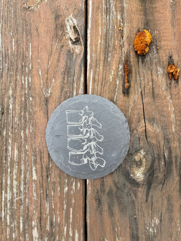 Spinal Column Anatomy Engraved Slate Coaster