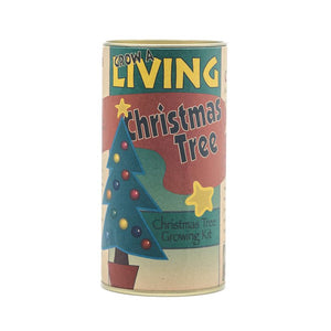 Living Christmas Tree | Balsam Fir | Seed Grow Kit | The Jonsteen Company