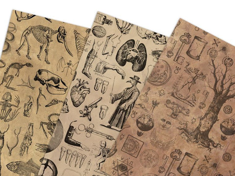 Vintage Wrapping Paper [3 Styles] Flat Pack - Animal Bones, Vintage Medical, Alchemy