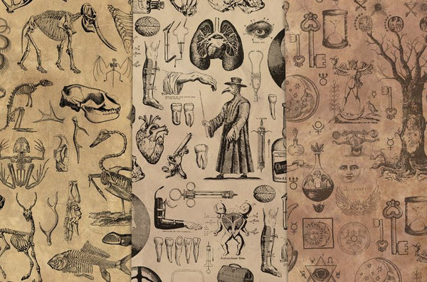 Vintage Wrapping Paper [3 Styles] Flat Pack - Animal Bones, Vintage Medical, Alchemy