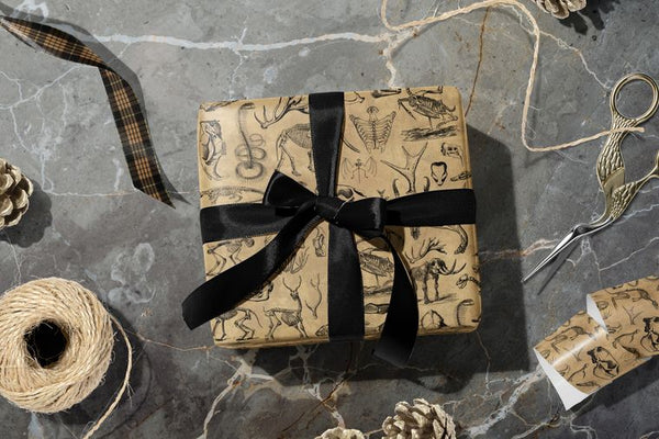 Vintage Wrapping Paper [3 Styles] Flat Pack - Animal Bones, Vintage Medical, Alchemy